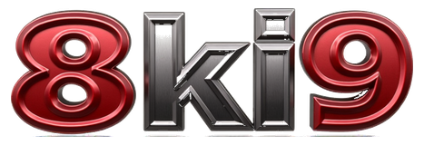 8ki9 logo